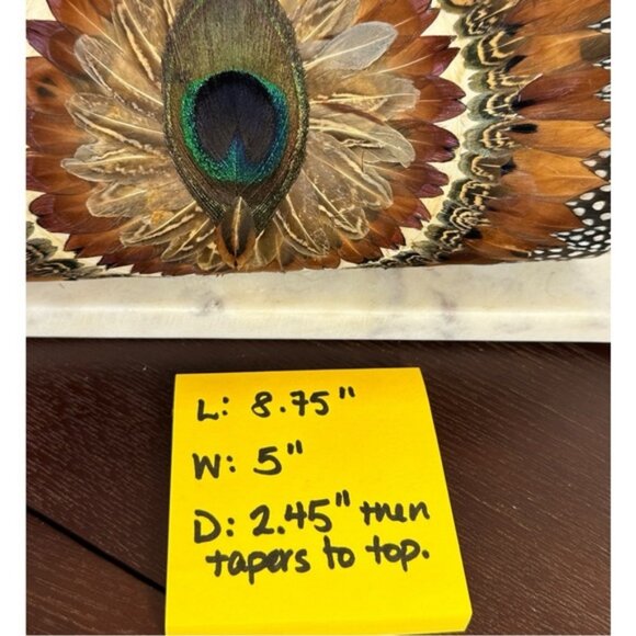 VINTAGE (60s) EXOTIC PEACOCK  FEATHER CLUTCH - GORGEOUS! - Picture 13 of 13